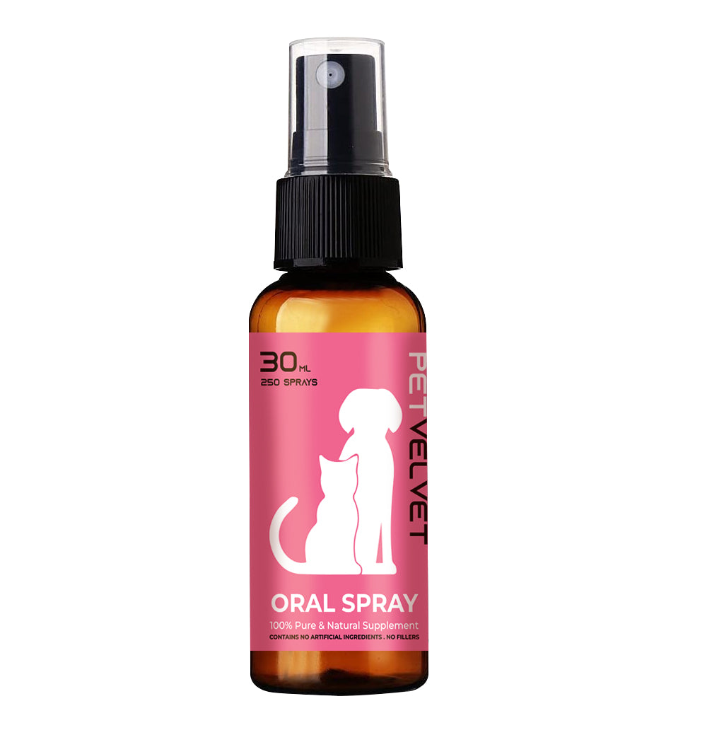 Pet Oral Spray - Deer Velvet & Manuka