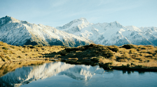 Why New Zealand Deer Velvet Is Considered Premium