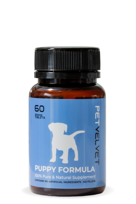 Puppy Health & Wellbeing Formula - 60 Deer Velvet Tablets